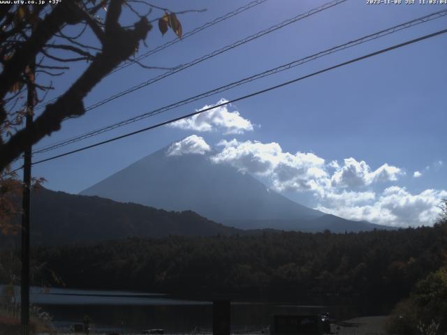 西湖からの富士山