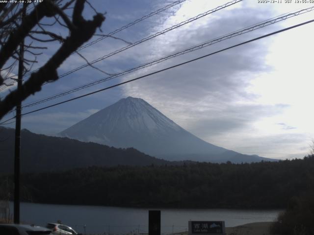 西湖からの富士山