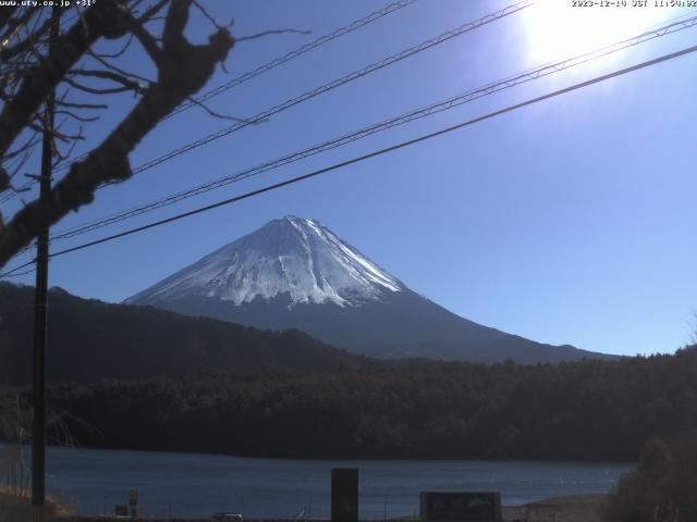 西湖からの富士山