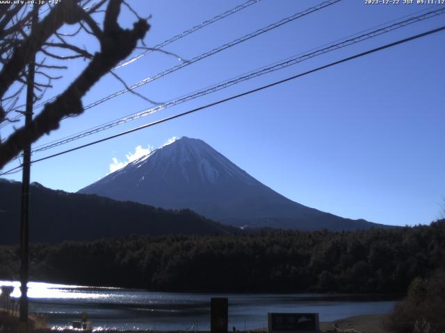 西湖からの富士山