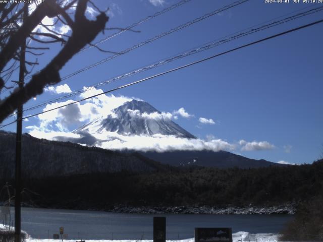 西湖からの富士山