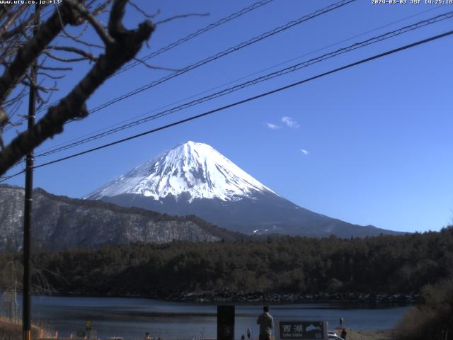 西湖からの富士山