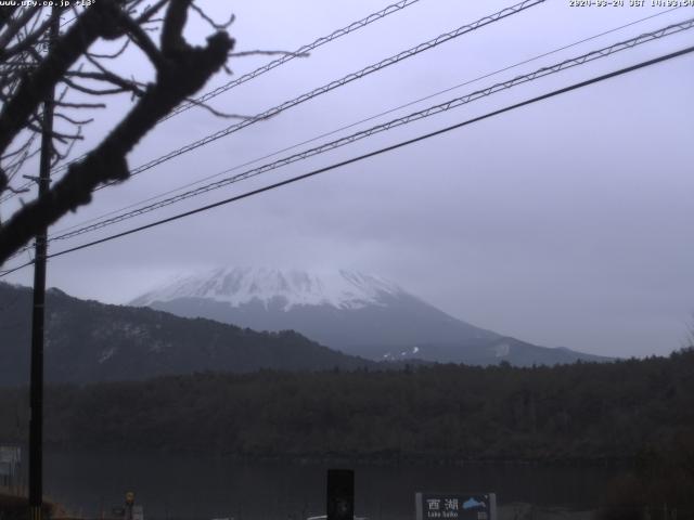 西湖からの富士山