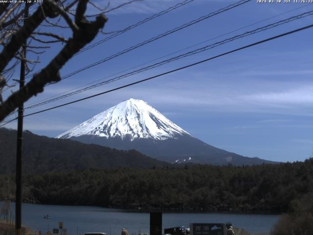 西湖からの富士山