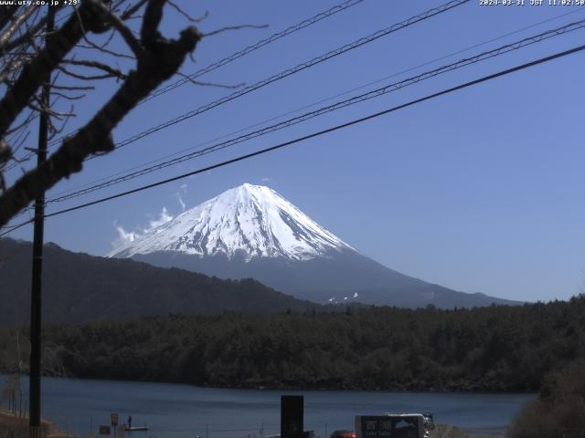 西湖からの富士山