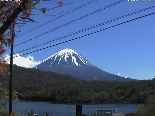 西湖からの富士山