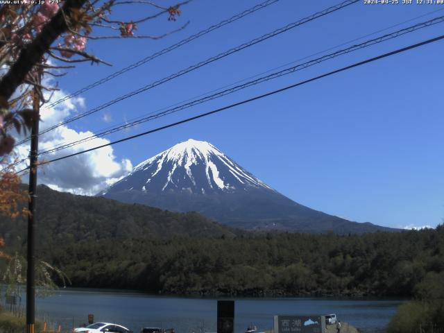 西湖からの富士山