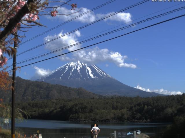 西湖からの富士山