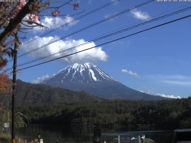 西湖からの富士山