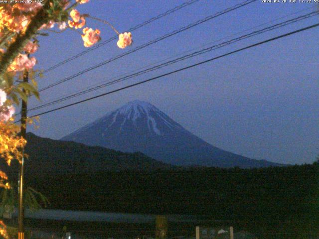 西湖からの富士山