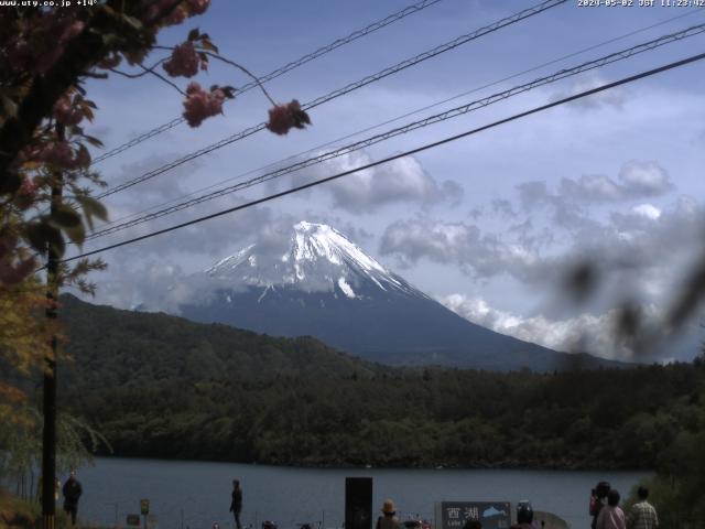 西湖からの富士山