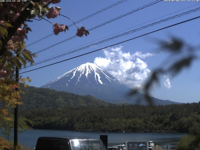 西湖からの富士山