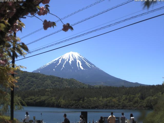 西湖からの富士山