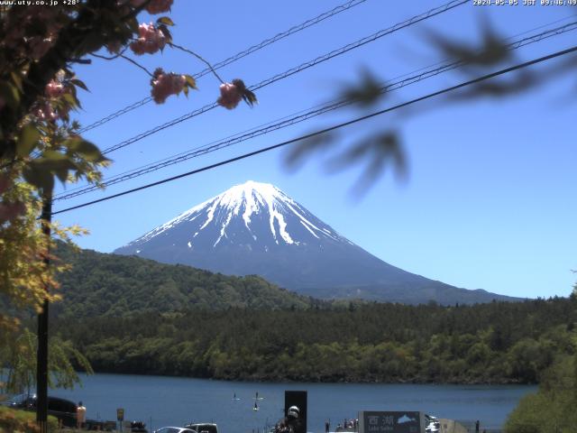 西湖からの富士山