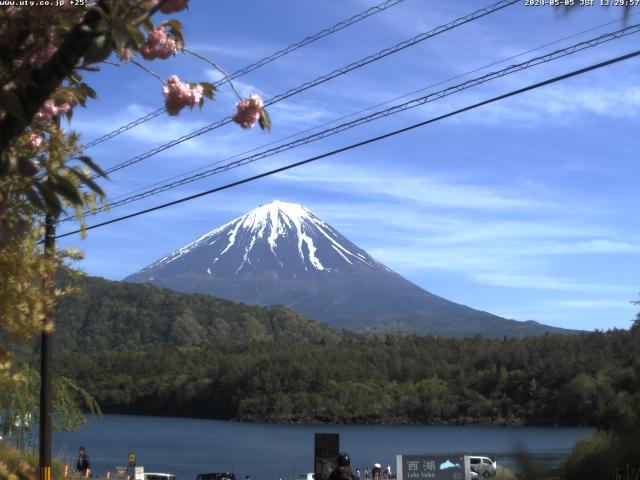 西湖からの富士山