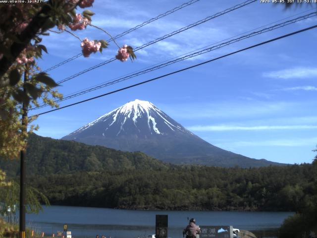 西湖からの富士山