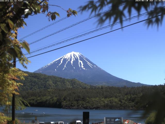 西湖からの富士山