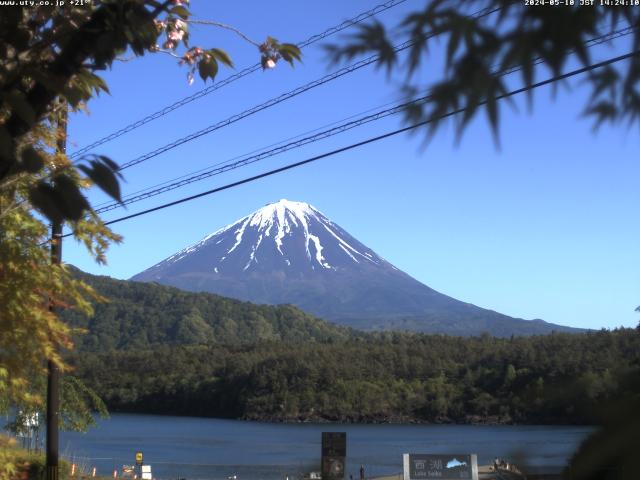 西湖からの富士山