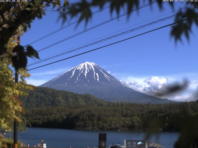 西湖からの富士山