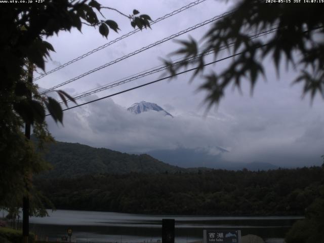 西湖からの富士山