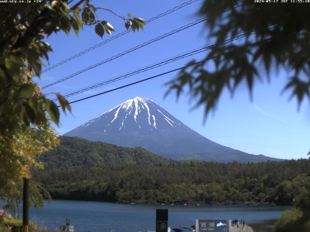 西湖からの富士山