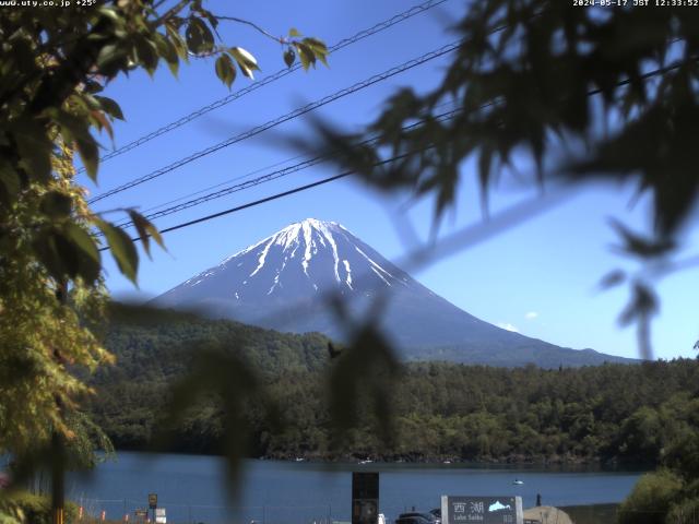 西湖からの富士山