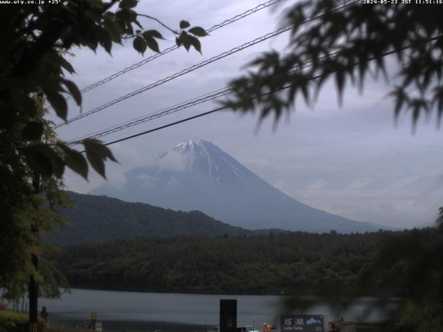 西湖からの富士山