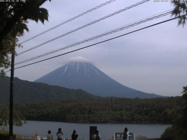 西湖からの富士山