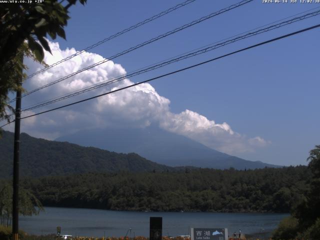 西湖からの富士山