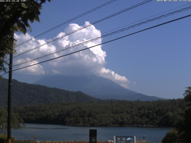 西湖からの富士山