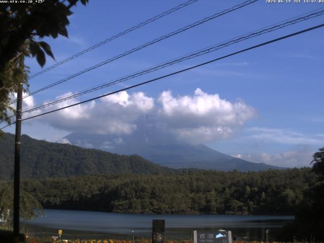 西湖からの富士山