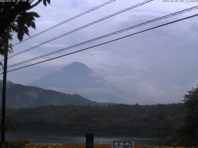 西湖からの富士山