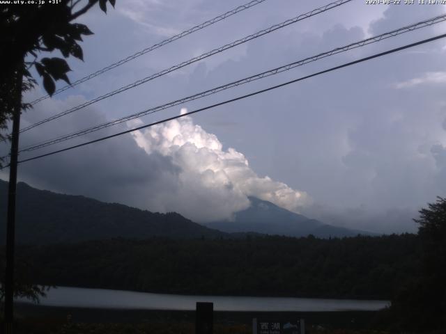 西湖からの富士山