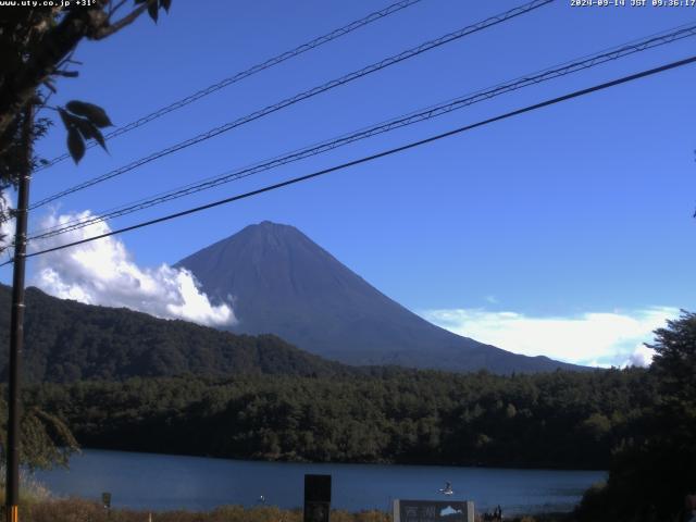 西湖からの富士山