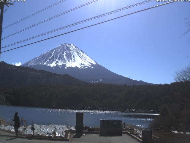 西湖からの富士山