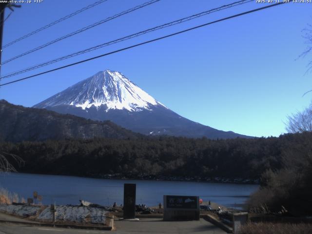 西湖からの富士山