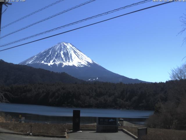 西湖からの富士山