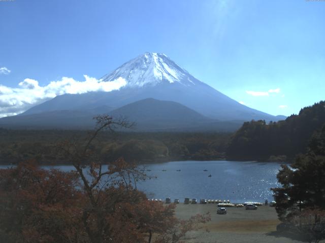 精進湖からの富士山