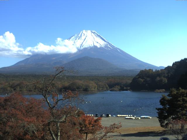 精進湖からの富士山