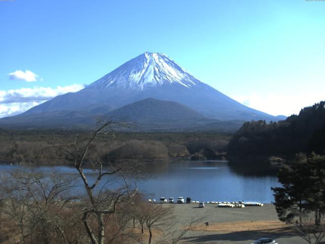 精進湖からの富士山