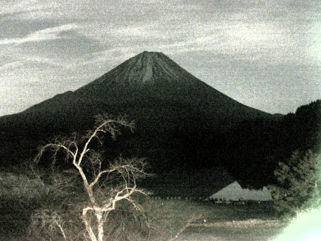 精進湖からの富士山