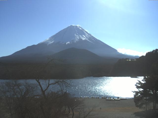 精進湖からの富士山