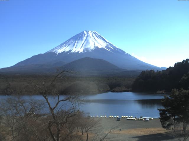 精進湖からの富士山