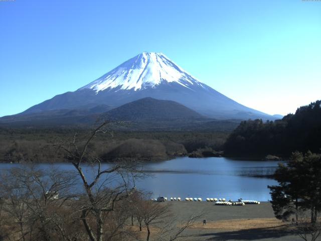 精進湖からの富士山