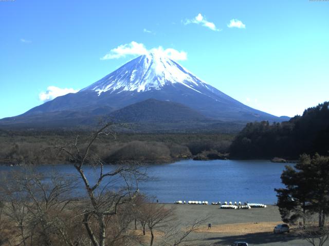 精進湖からの富士山