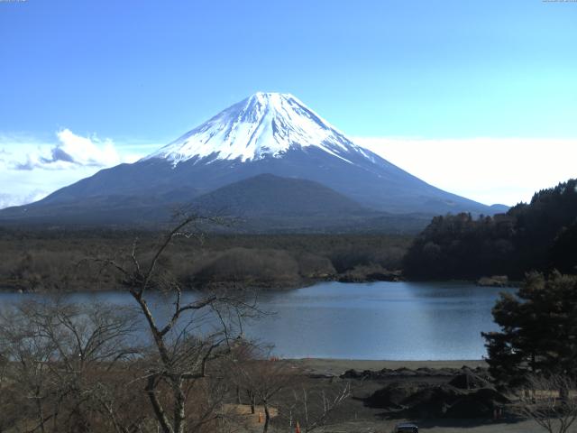 精進湖からの富士山