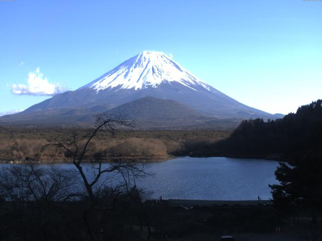 精進湖からの富士山