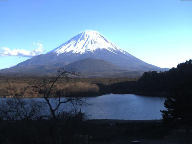 精進湖からの富士山