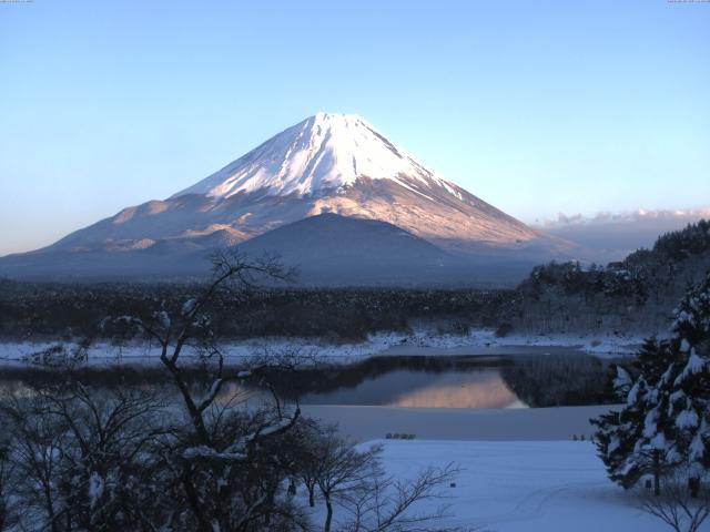 精進湖からの富士山