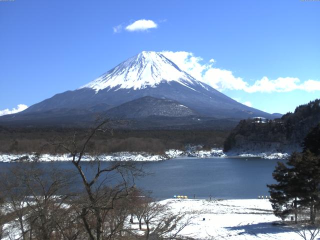 精進湖からの富士山